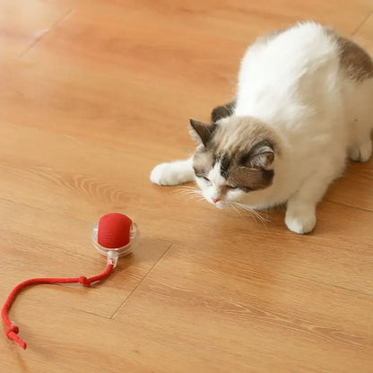 Beißfester interaktiver Spielball für Katzen 