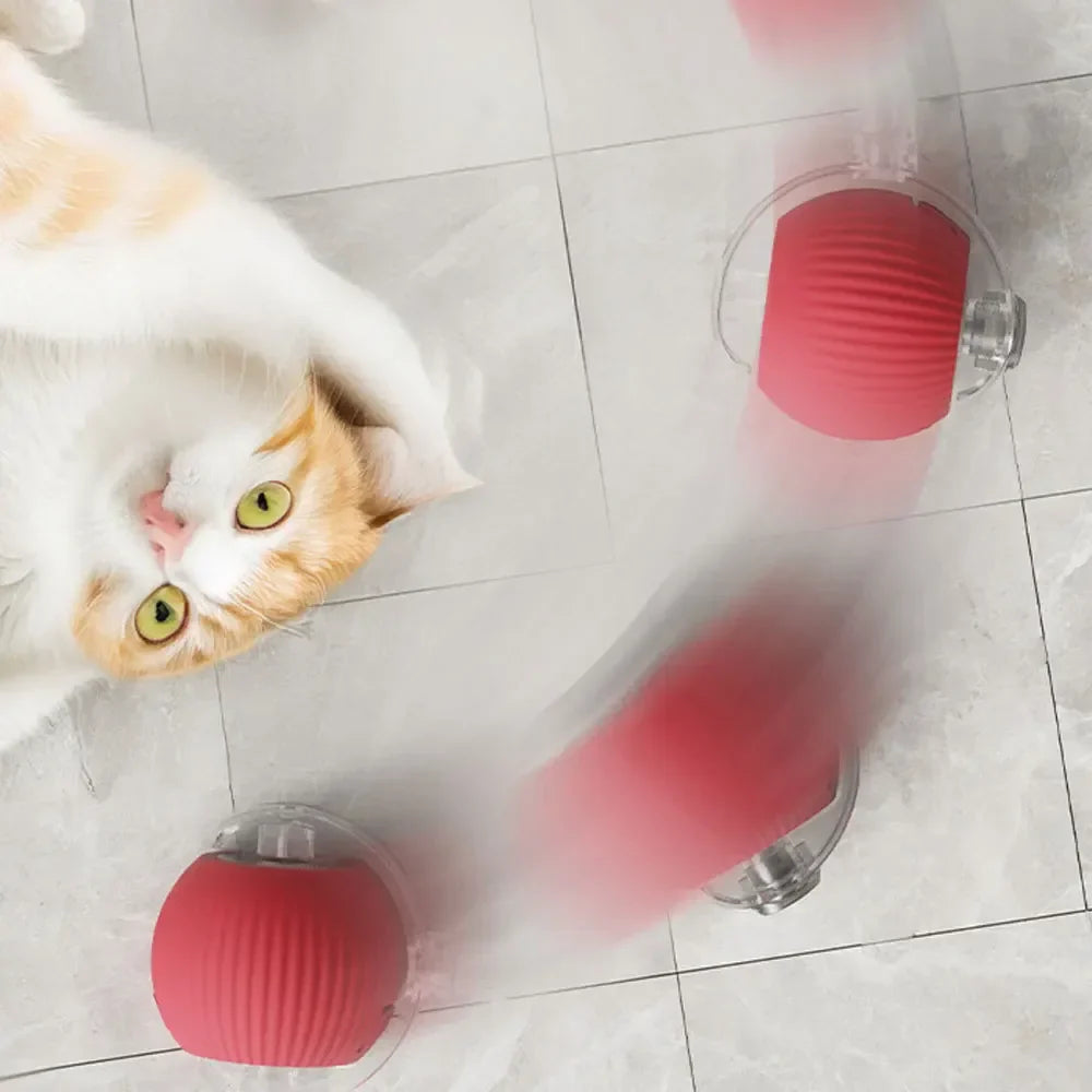 Beißfester interaktiver Spielball für Katzen 