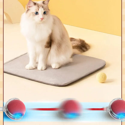 Bite-resistant Interactive Play Ball for Cats